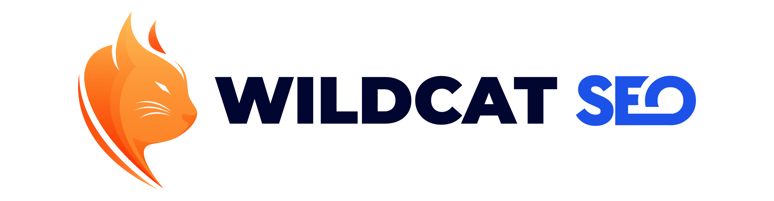 Wildcat SEO - Tucson SEO and digital marketing agency